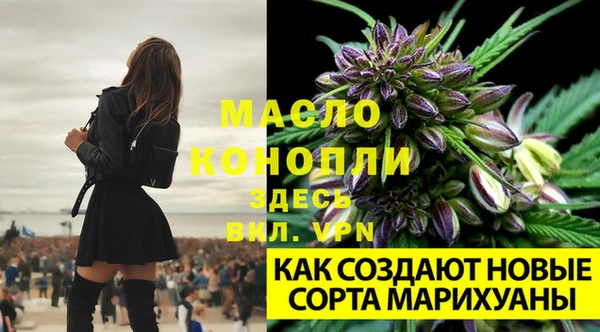 MDMA Premium VHQ Бронницы